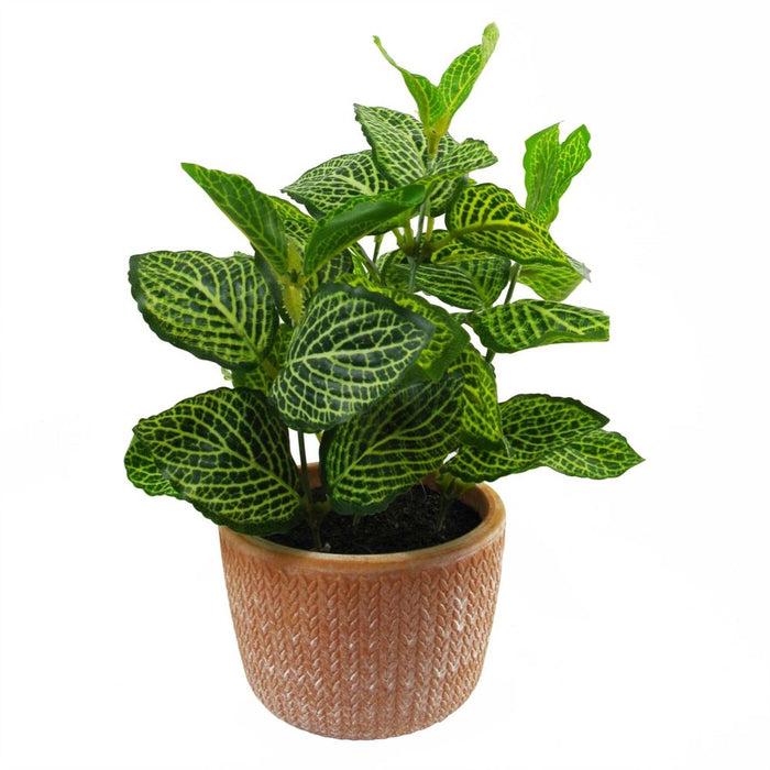 Premium 22cm Mini Artificial Pothos in Terracotta Pot