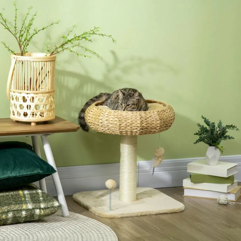 51cm Cat Tree Kitty Activity Centre | Top Bed, Toy Ball, Sisal Scratching Post | Premium Quality