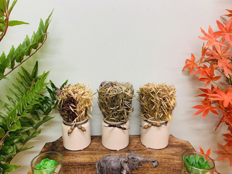 Dried Grasses in Ceramic Pots - Rustic Charm for Home Decor