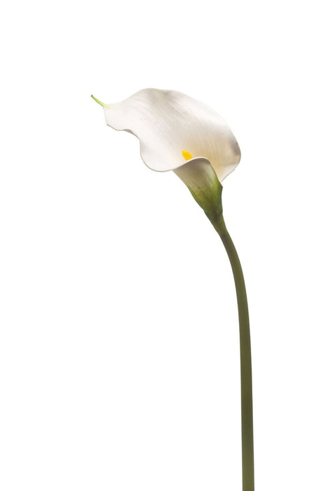 Premium Artificial Calla Lily White 48cm - High-Quality Faux Floral Stem for Elegant Decor