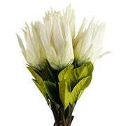 https://images.avasam.com/?url=https://avasamnew.s3.amazonaws.com/product/GB010188/S0671589514/main.png&w=500