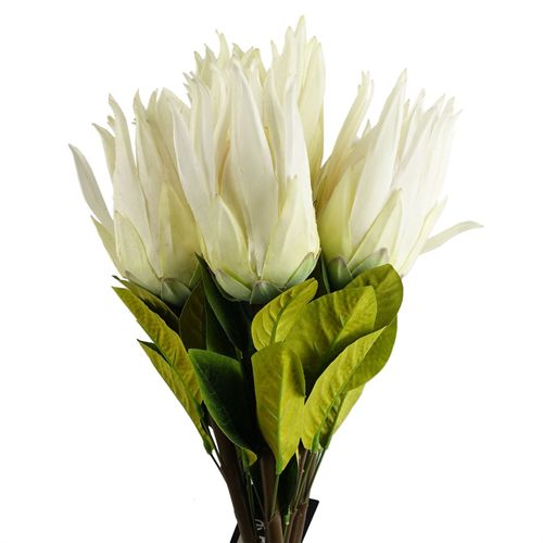 https://images.avasam.com/?url=https://avasamnew.s3.amazonaws.com/product/GB010188/S0671589514/main.png&w=500