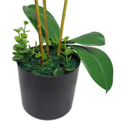 https://images.avasam.com/?url=https://avasamnew.s3.amazonaws.com/live/GB010188/S0671265882_14.webp&w=500