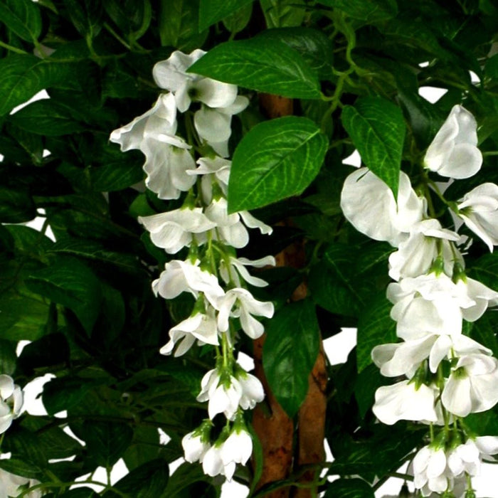 130cm Luxury Artificial Wisteria Tree White Flowers - Premium Range