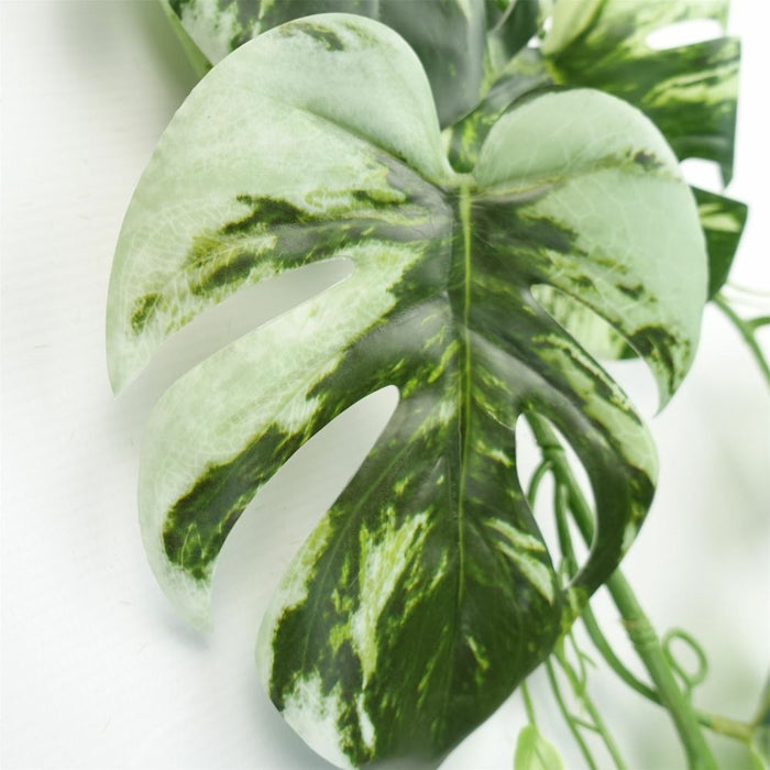 180cm Artificial Trailing Hanging Variegated Monstera Plant Realistic