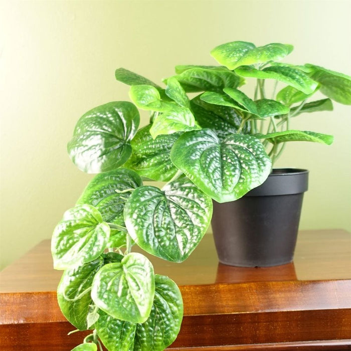 35cm Artificial Trailing Natural Pothos Plant - Realistic Quality - Luxurious Potted Display