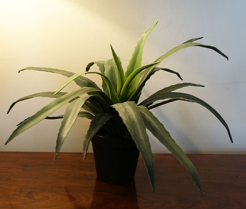 Realistic 40cm Artificial Aloe Succulent Plant - High-Quality, Perfect for Any Space