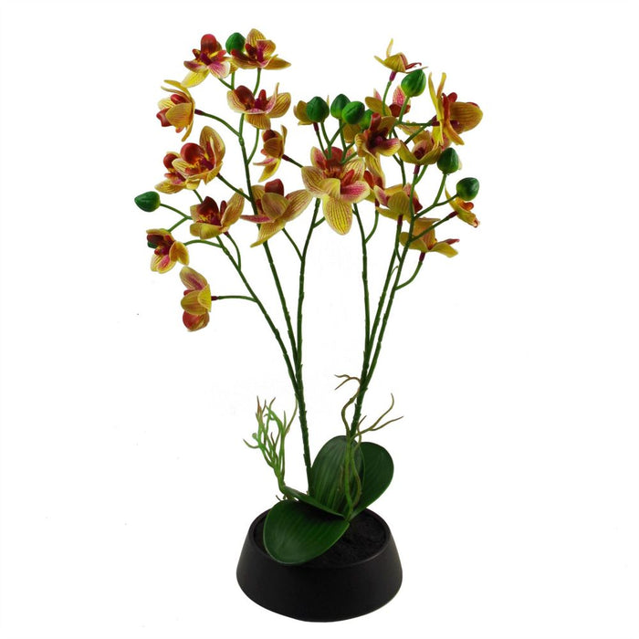 Large Pink Yellow Artificial Orchid - High-Quality 43cm - Ceramic Planter