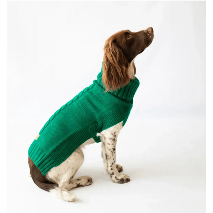 The Jazz Dog Jumper in Green - Contemporary Cableknit Design, Lycra Strengthened Rolleck, Leg Slits - Best Quality