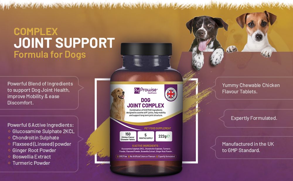 Dog Joint Support 150 Chicken Chewable Tablets 5 Months Supply | UK Made by Prowise