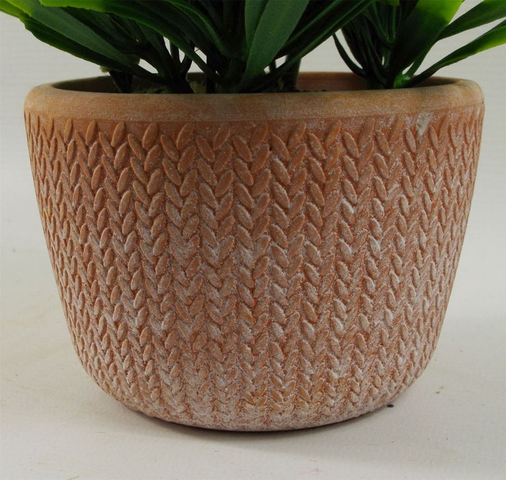 22cm Foliage Honey Plant: Realistic & Vibrant Green in Terracotta Pot