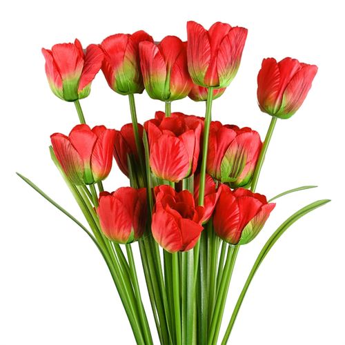 https://images.avasam.com/?url=https://avasamnew.s3.amazonaws.com/product/GB010188/S0671589117/1.png&w=500