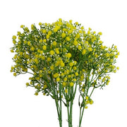 https://images.avasam.com/?url=https://avasamnew.s3.amazonaws.com/product/GB010188/S0671589522/main.png&w=500