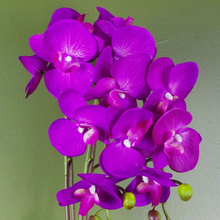 Premium 52cm Artificial Orchid - Large Purple & Gold - Real Touch - Lifelike - Luxurious Design