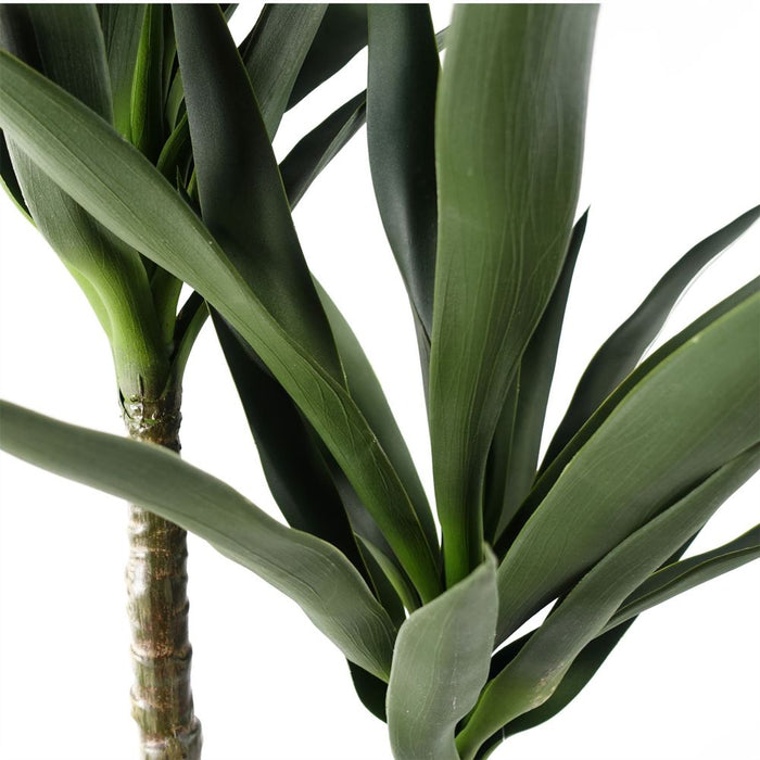 120cm UV Resistant Outdoor Yucca Tree - Realistic Leaves & Trunk - High Quality