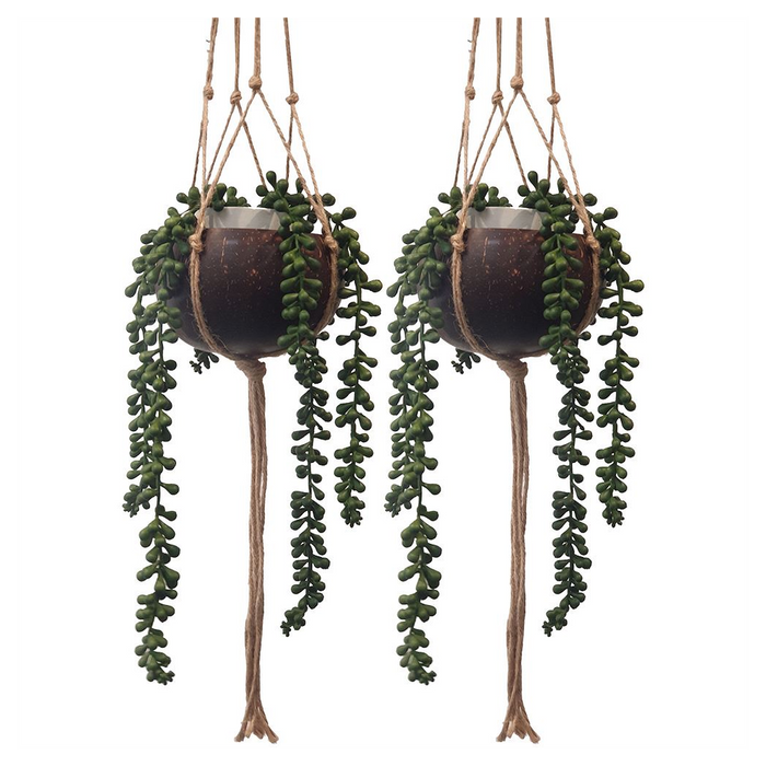 Boho Chic Coconut Shell Plant Holders - Set of 2, Macrame Hanging Ropes - Eco-Friendly, Durable