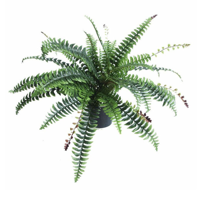 Realistic Artificial Boston Fern Plant - 60cm, Lifelike Faux Boston Fern