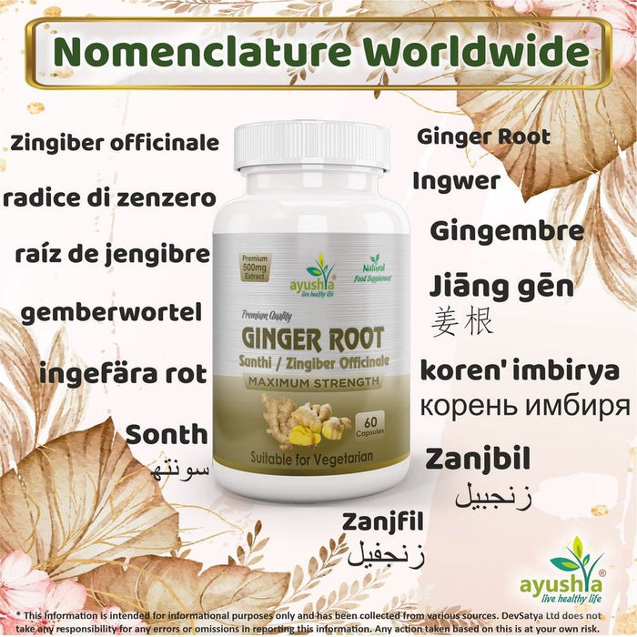 Ginger Root (Sunthi) Capsule - Best Quality, Health Benefits, Aromatic Spice - Buy Now!