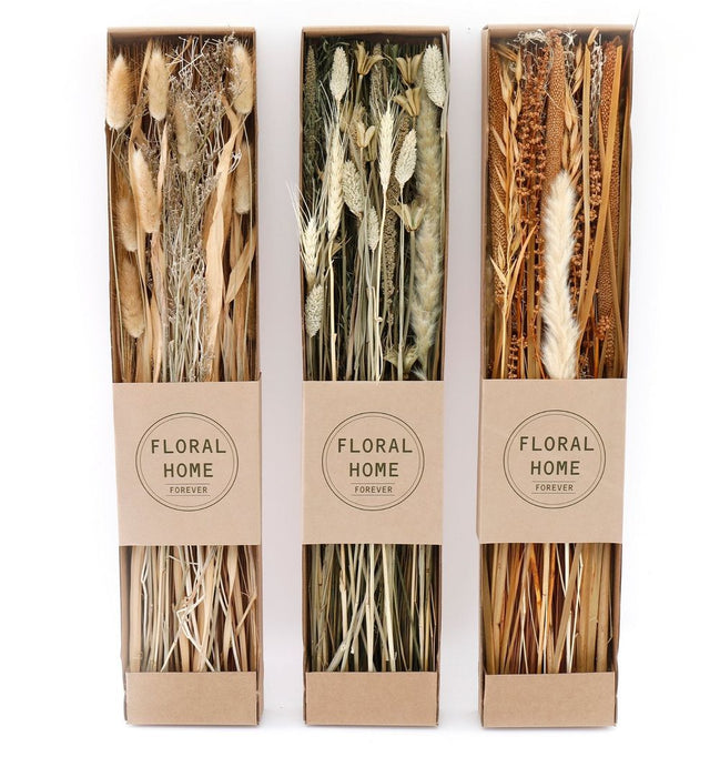 Assorted Dried Grasses - Set of 3 | Display Box | Ideal for Crafts & Home Décor