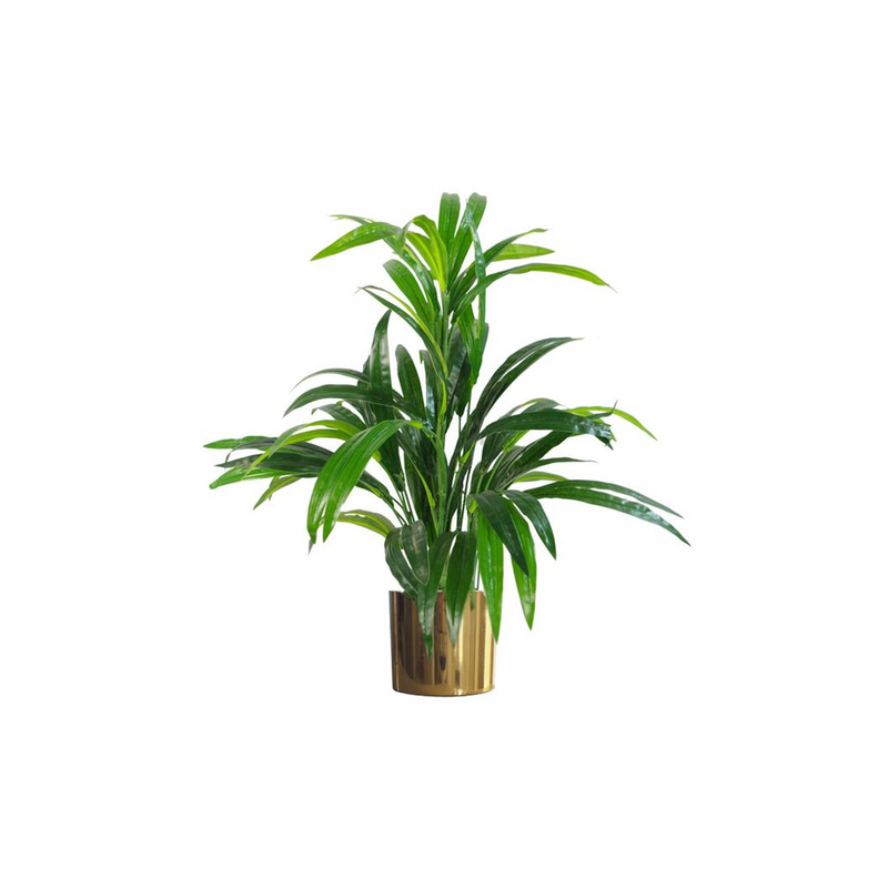 Metal Planter Plant Pot with Polished Gold Finish 20 x 18cm Botanik