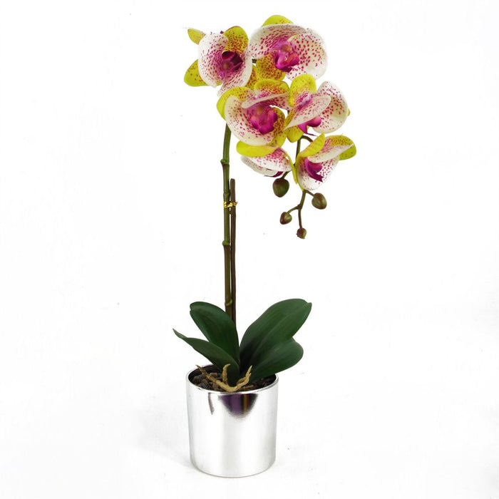 Premium Quality 46cm Artificial Orchid in Harlequin Pink - Silver Pot