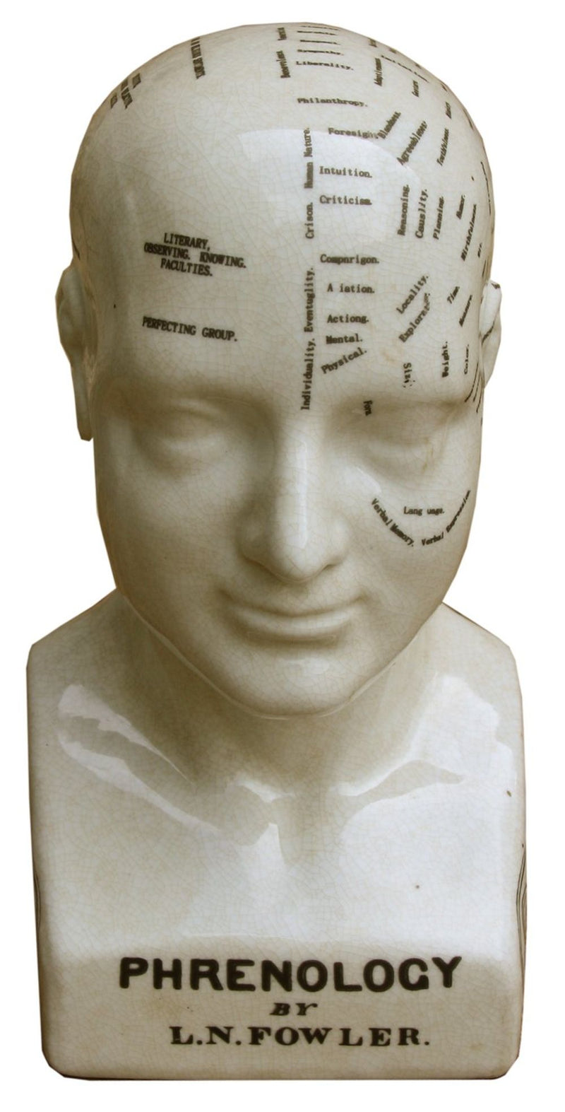 Ceramic Phrenology Head, 25cm: Ancient Knowledge & Art, Quality Craftsmanship