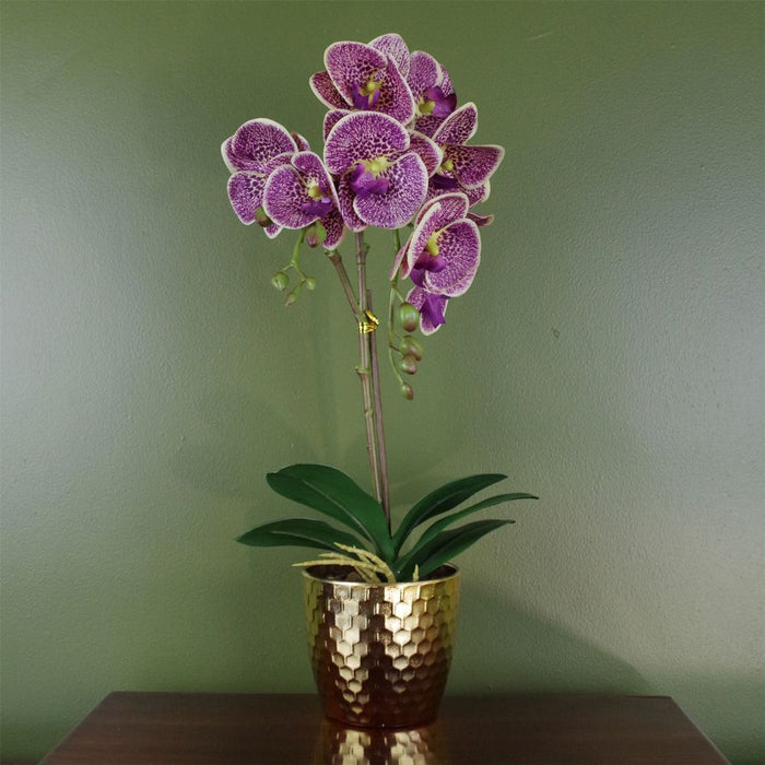 Lifelike 50cm Purple Leopard Orchid - Realistic Artificial Plant