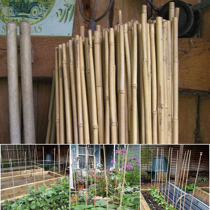 Bamboo Garden Canes - 10 x 6FT (180cm), Quality & Eco-Friendly