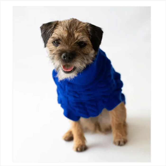 Premium Rascal Dog Jumper - Blue, Cableknit Design