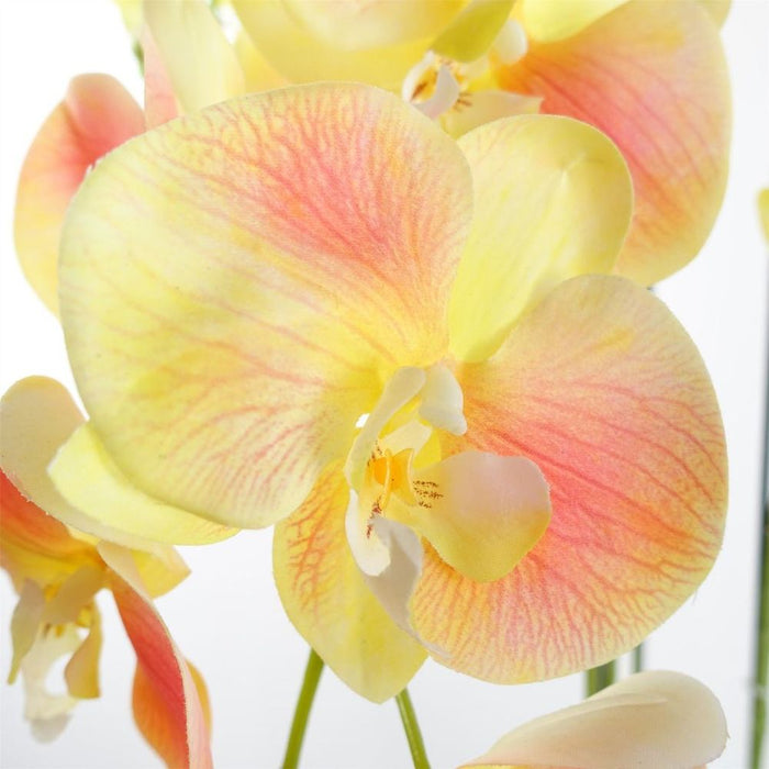 110cm Large Yellow Peach Orchid Plant - 41 REAL TOUCH Flowers