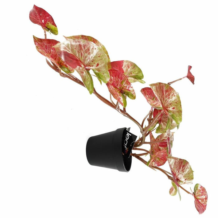 Realistic Trailing Hanging Plant - Pink Splash Caladium - 35cm Artificial Plant