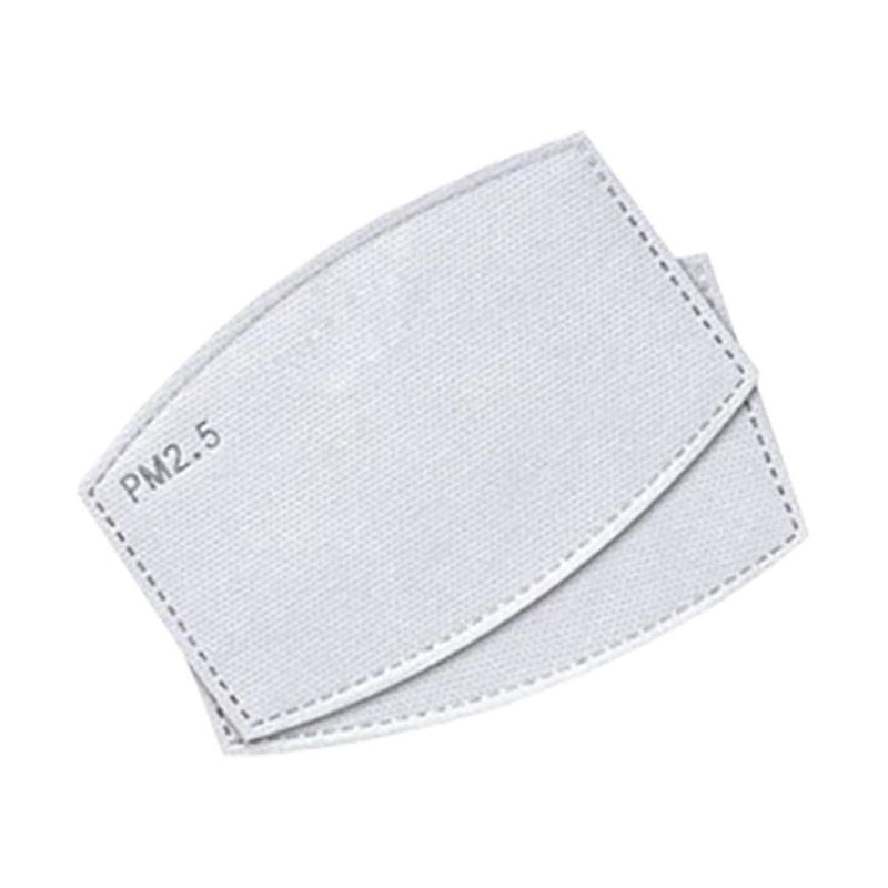 Aquarius Face Mask w/ Valve&2 Filters - Grey: Activated Carbon Non-Woven Fabric, PM 2.5 Filter, Unisex, Outdoor Activities