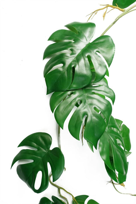 Realistic 100cm Monstera Hanging Trailing Plant - Pack of 6