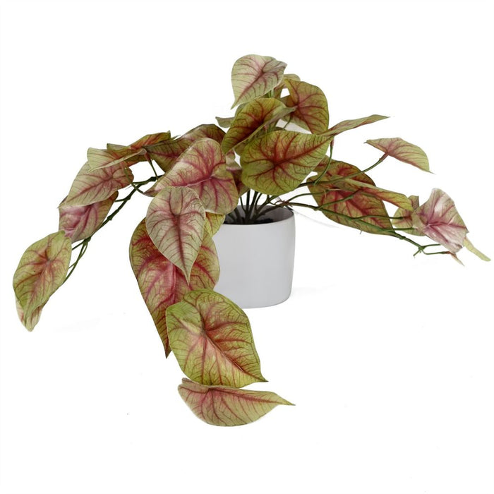 30cm Artificial Pink Caladium Potted Trailing Plant