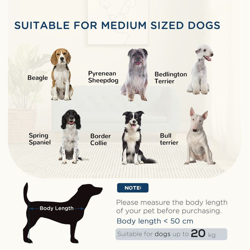 Elevated Dog Sofa Bed - Premium Quality Couch for Small, Medium Dogs - Soft Cushion - Grey