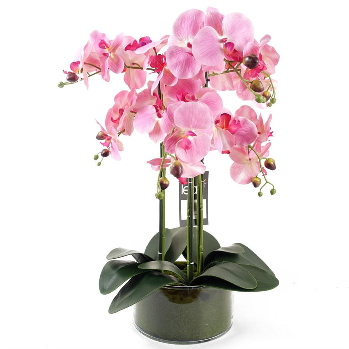 Premium Quality 50cm Artificial Orchid - Glass Planter - Pink