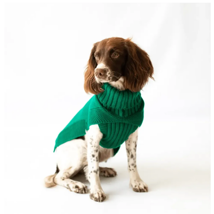 The Jazz Dog Jumper in Green - Contemporary Cableknit Design, Lycra Strengthened Rolleck, Leg Slits - Best Quality