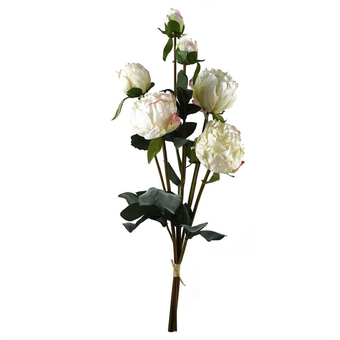 Premium Cream Peony Artificial Flower Stems - 6 Bundles, 24 Flowers, 18 Buds