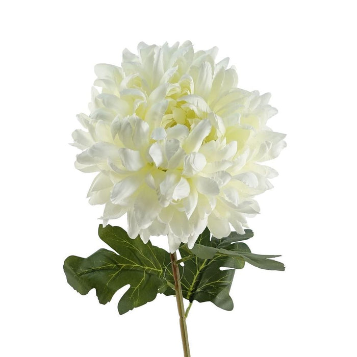 6-Pack XL Silk White Reflex Chrysanthemum - 75cm - Perfect for Arrangements