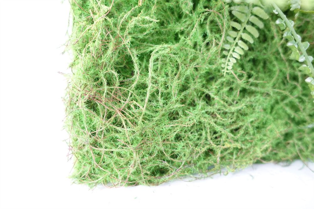 Premium 60cm Artificial Green Wall Fern - High-Quality 3D Panel with Moss & Ferns - Easy to Hang - Create Stunning Indoor & Outdoor Spaces