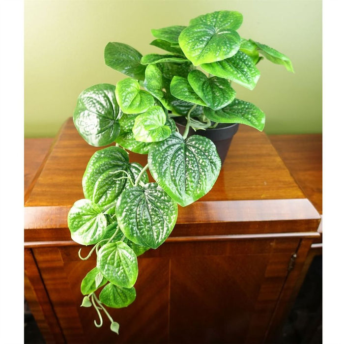 35cm Artificial Trailing Natural Pothos Plant - Realistic Quality - Luxurious Potted Display