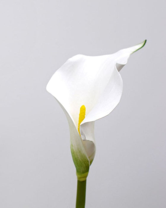 Premium Artificial Calla Lily White 48cm - High-Quality Faux Floral Stem for Elegant Decor