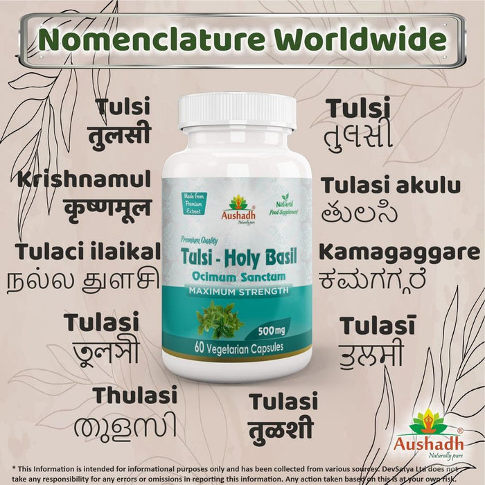 Holy Basil (Tulsi) Capsule - High-Quality Herbal Supplement for All Your Wellness Needs!