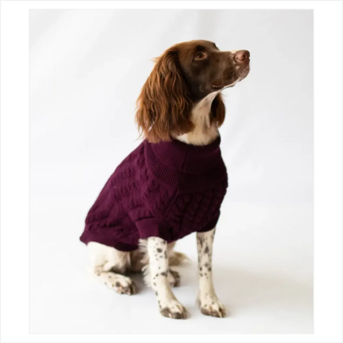 The Rascal Dog Jumper in Grape - Stock Replenishment, all sizes - Professional Quality