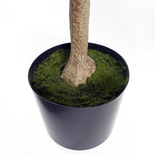 https://images.avasam.com/?url=https://avasamnew.s3.amazonaws.com/product/GB010188/S0671532892/5.png&w=500