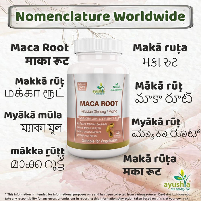 Maca Root Capsule - High Quality Peruvian Ginseng Supplement for Optimal Health and Wellness