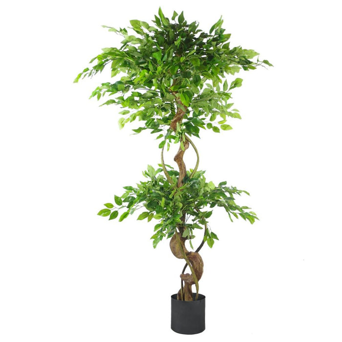 150cm Twisted Trunk Artificial Ficus Tree with Black Planter - Sophisticated Elegance for Any Space