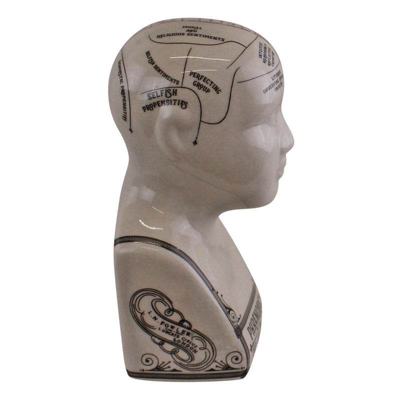 Premium Quality Small Ceramic Crackle Phrenology Head