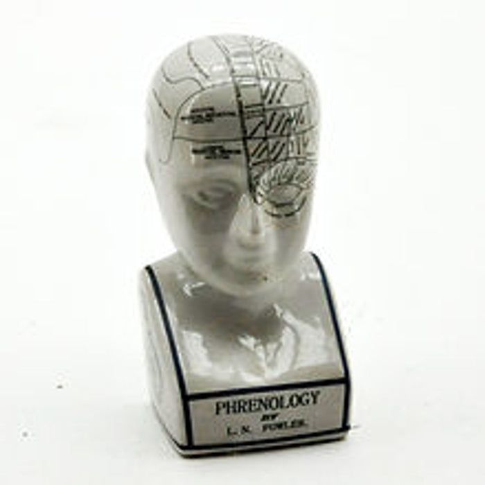 Ceramic Phrenology Head: LN Fowler Reproduction, Crackle Glaze, Educational - 12" Hand Finished