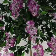 https://images.avasam.com/?url=https://avasamnew.s3.amazonaws.com/live/GB010188/S0671497839_16.webp&w=500